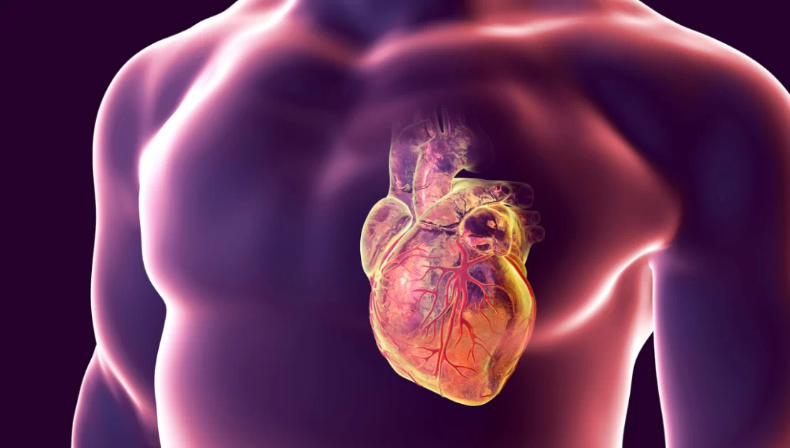 Best Cardiology Treatment In Chembur