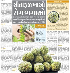 Custard Apple and its Health Benefits