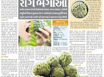 Custard Apple and its Health Benefits