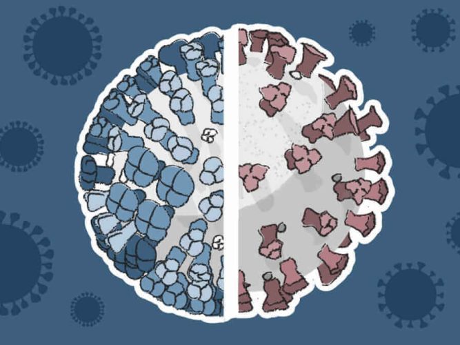 Covid Flu Or Normal Flu?