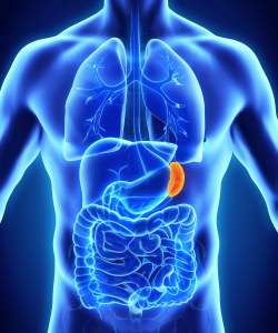 Splenectomy in Chembur