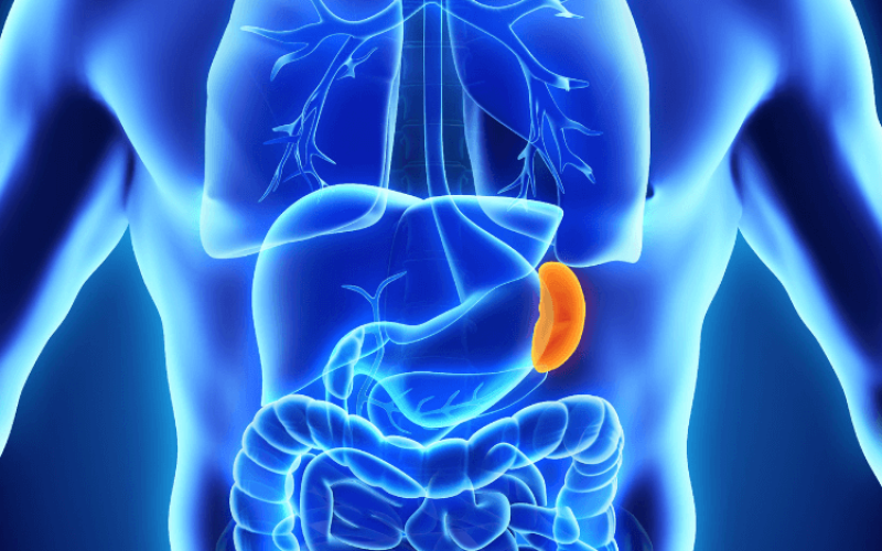 Splenectomy in Chembur