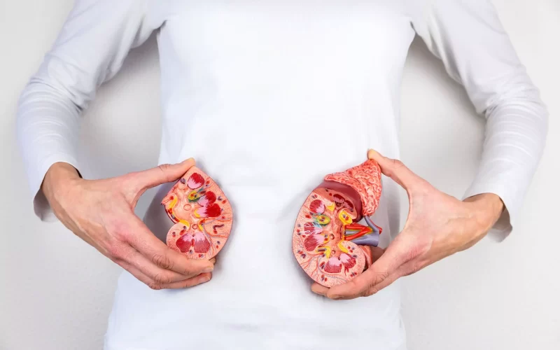 stage-3-kidney-disease.jpg