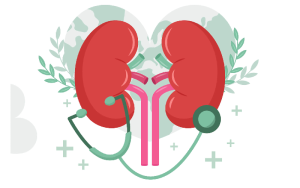 diabetes and kidney health